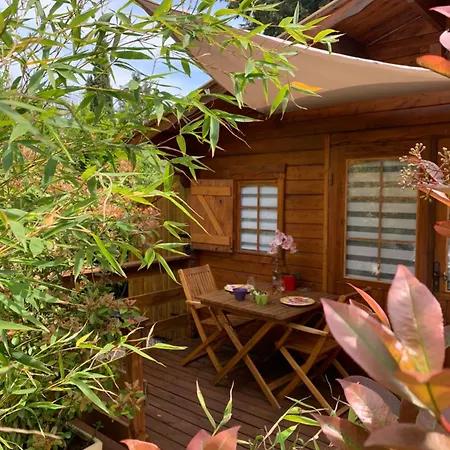 Chalet, Piscine, Jacuzzi,jardin Cloture, Animaux Acceptes Kamp alanı